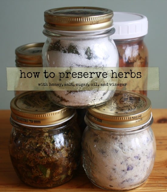 How to Preserve Herbs | Healthy Green Kitchen