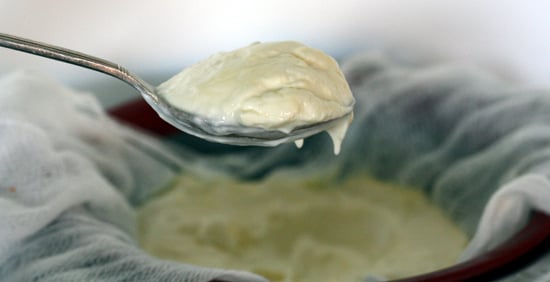 A spoonful of homemade Greek yogurt. 