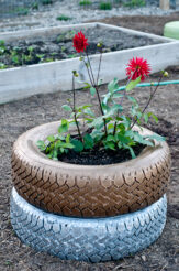 painted tire planter