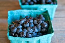 local-concord-grapes