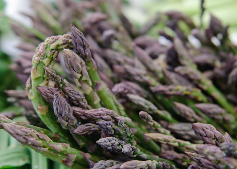asparagus_