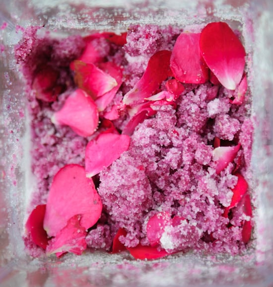 rose petal sugar