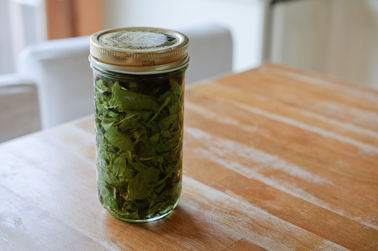 Homemade Mint Extract | Healthy Green Kitchen