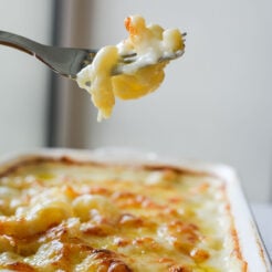 close-up of Swiss Macaroni Cheese with a fork holding a small portion of the dish