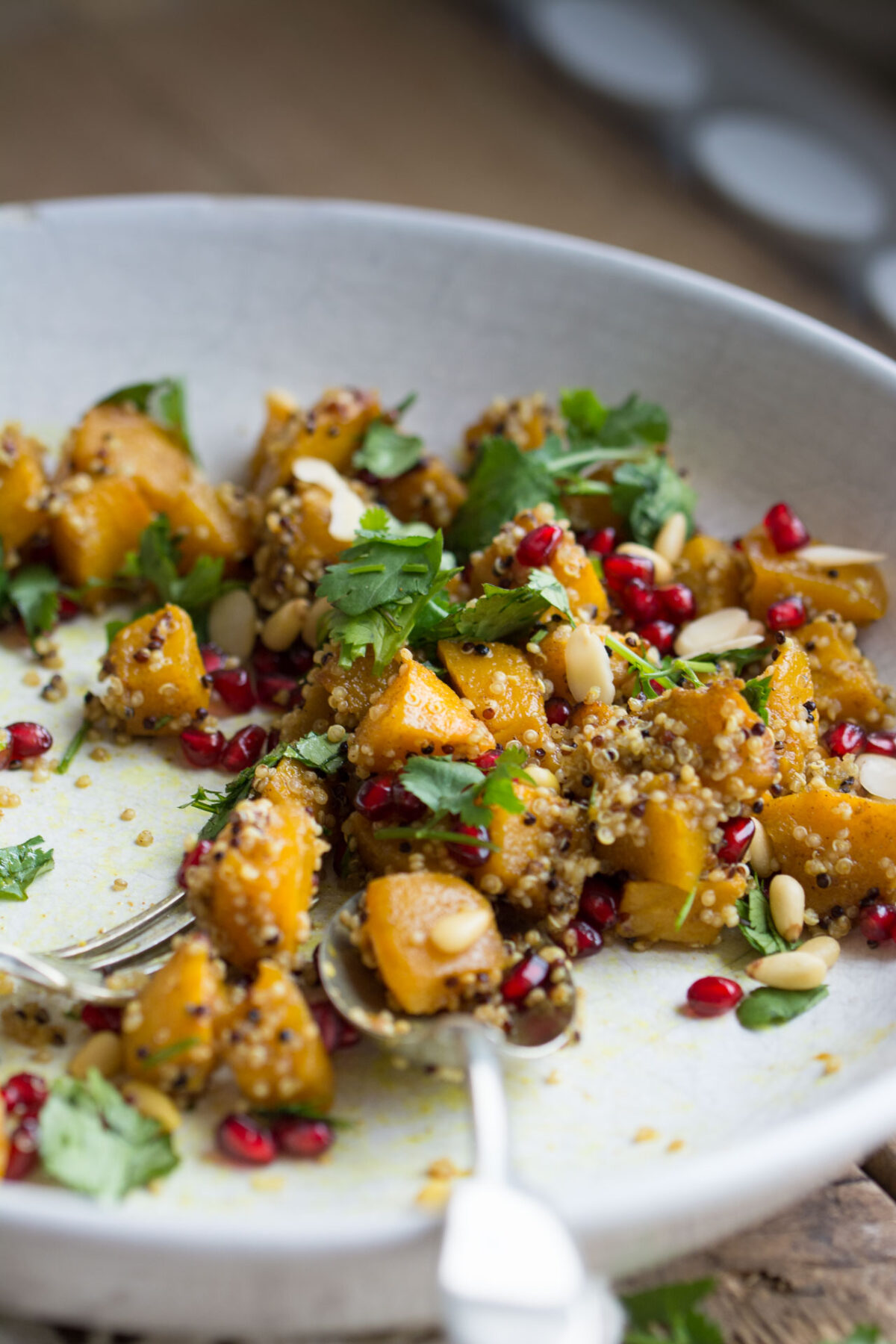 In this delicious vegan marinated pumpkin salad, all of the best sweet and savoury flavours come together to make the PERFECT fall salad!