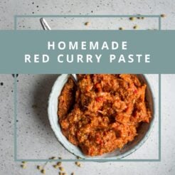A simple recipe for a quick, vegan red curry paste. Curry paste is a great base to have on hand for whipping up a delicious dinner in a pinch!