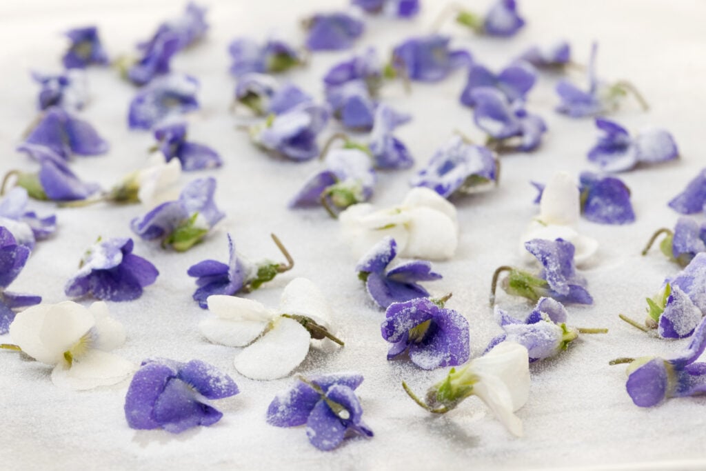 Candied Violets.
