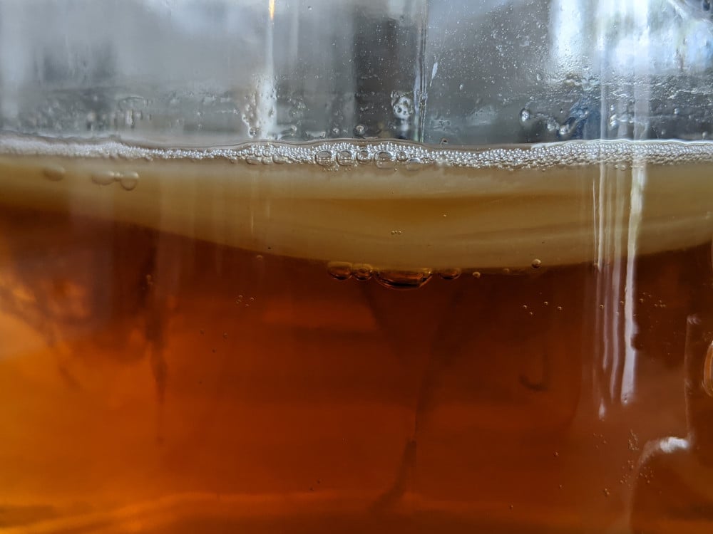 Kombucha scoby in a glass fermentation jar.