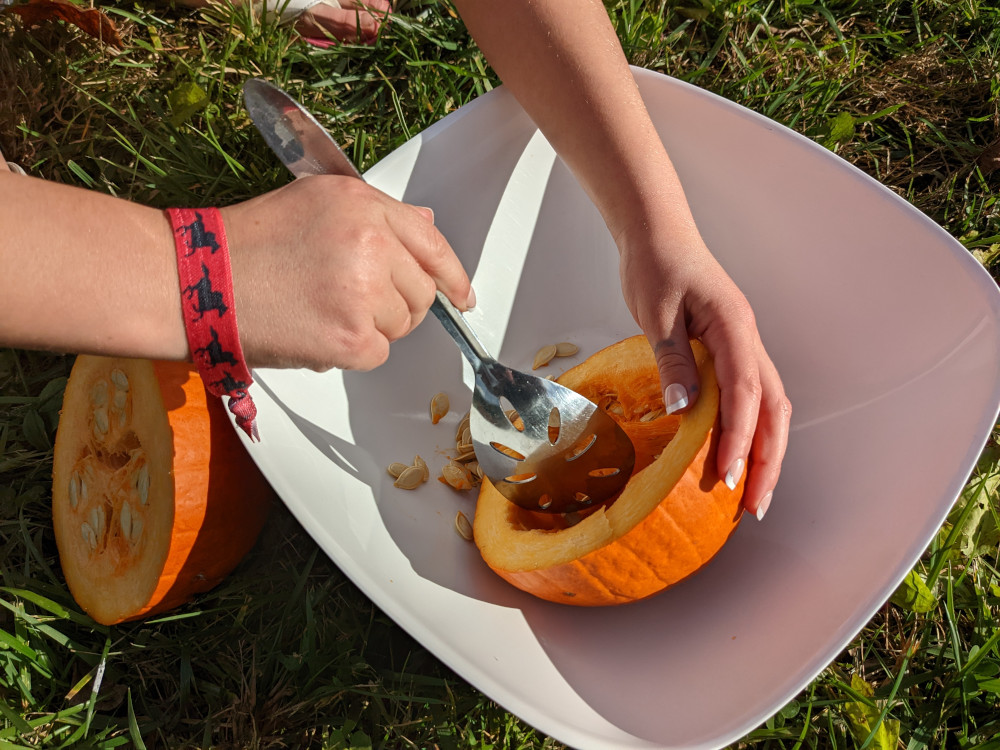 Scooping pumpkin seeds into a bowl.