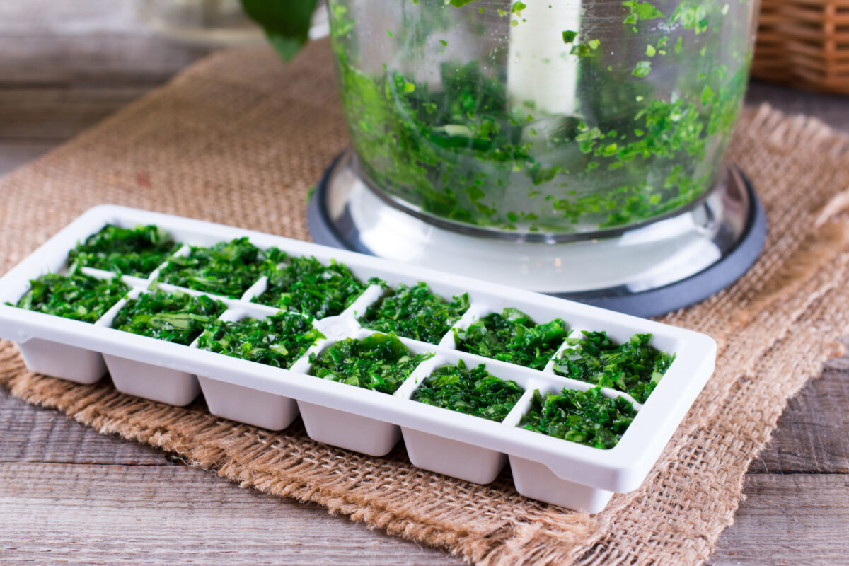 Ice cube tray filled with fresh herbs on a piece of burlap fabric on a wooden table with a food processor of herbs in the background.