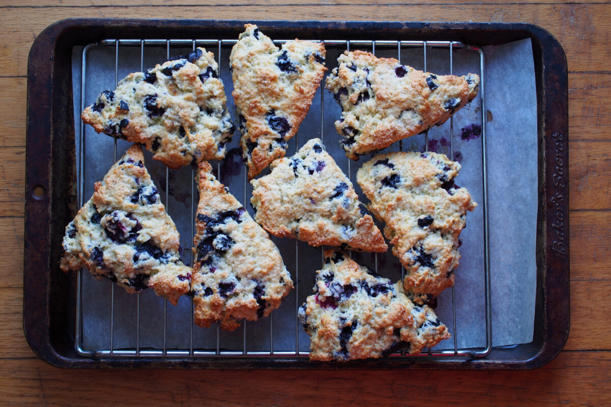 Blueberry scones on a cooking rack that's on top of a parchment-lined baking sheet.