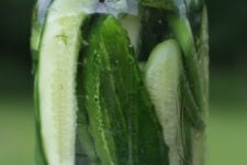 Pickles cucumbers and garlic scapes