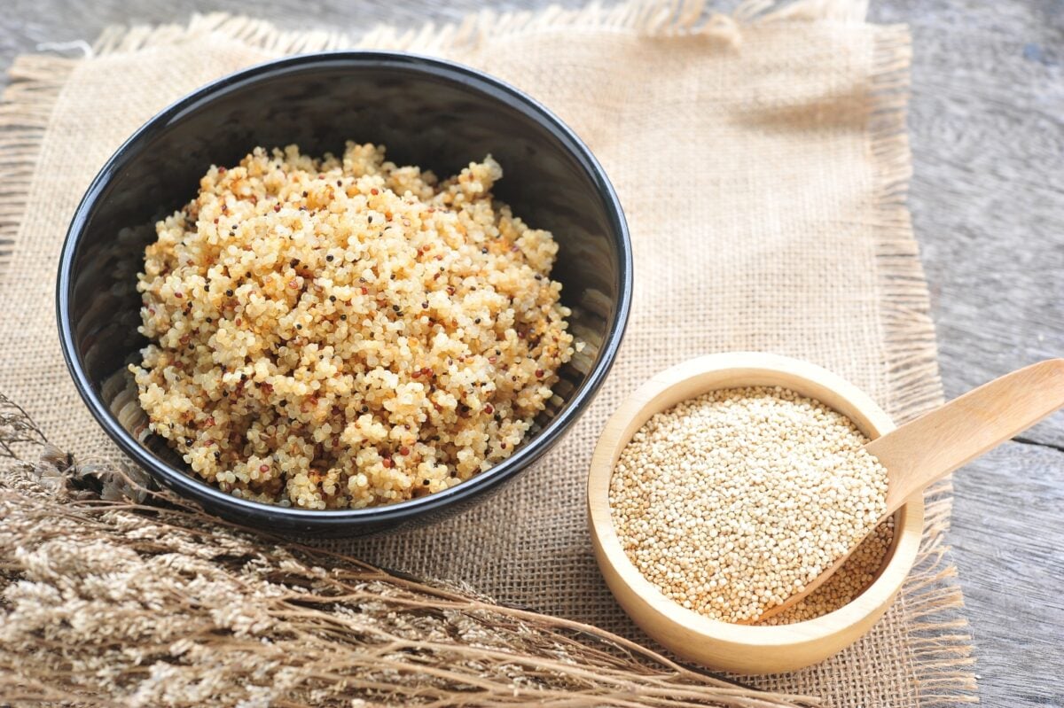 Bowl of cooked quinoa with a smaller bowl of raw quinoa and a dried plant. 