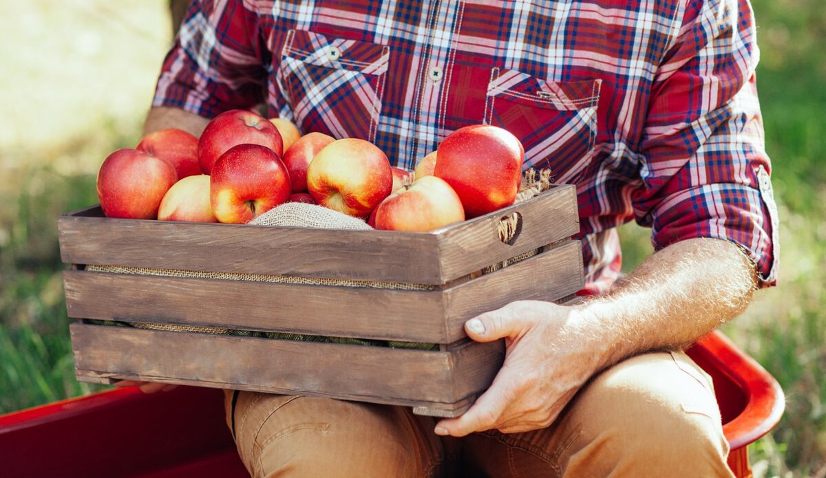 A man holding a wooden box of apples outside. 