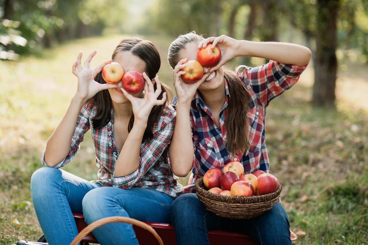 Two women at an apple orchard playing with apples.