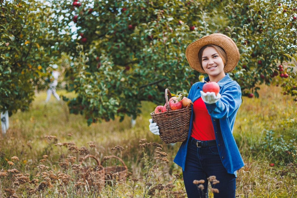 Woman in a straw hat and gloves holding a basket of apples in one hand and a single apple in the other.
