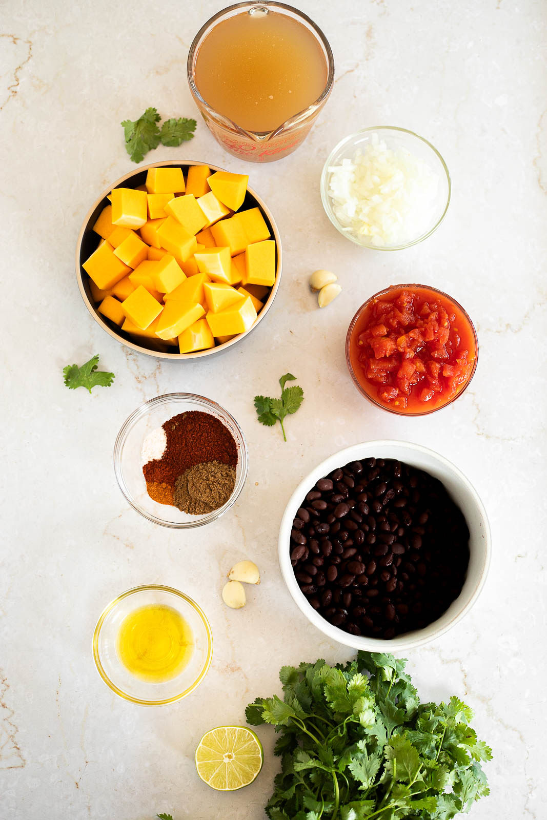 Top view of ingredients for Black Bean and Butternut Squash Chili.