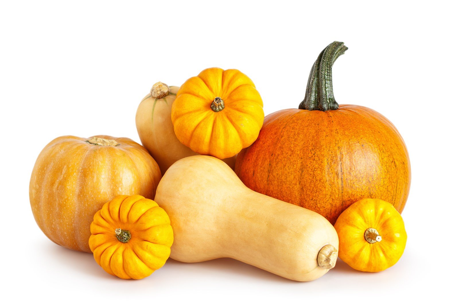 A photo of a large pumpkin with smaller pumpkins and butternut squash.