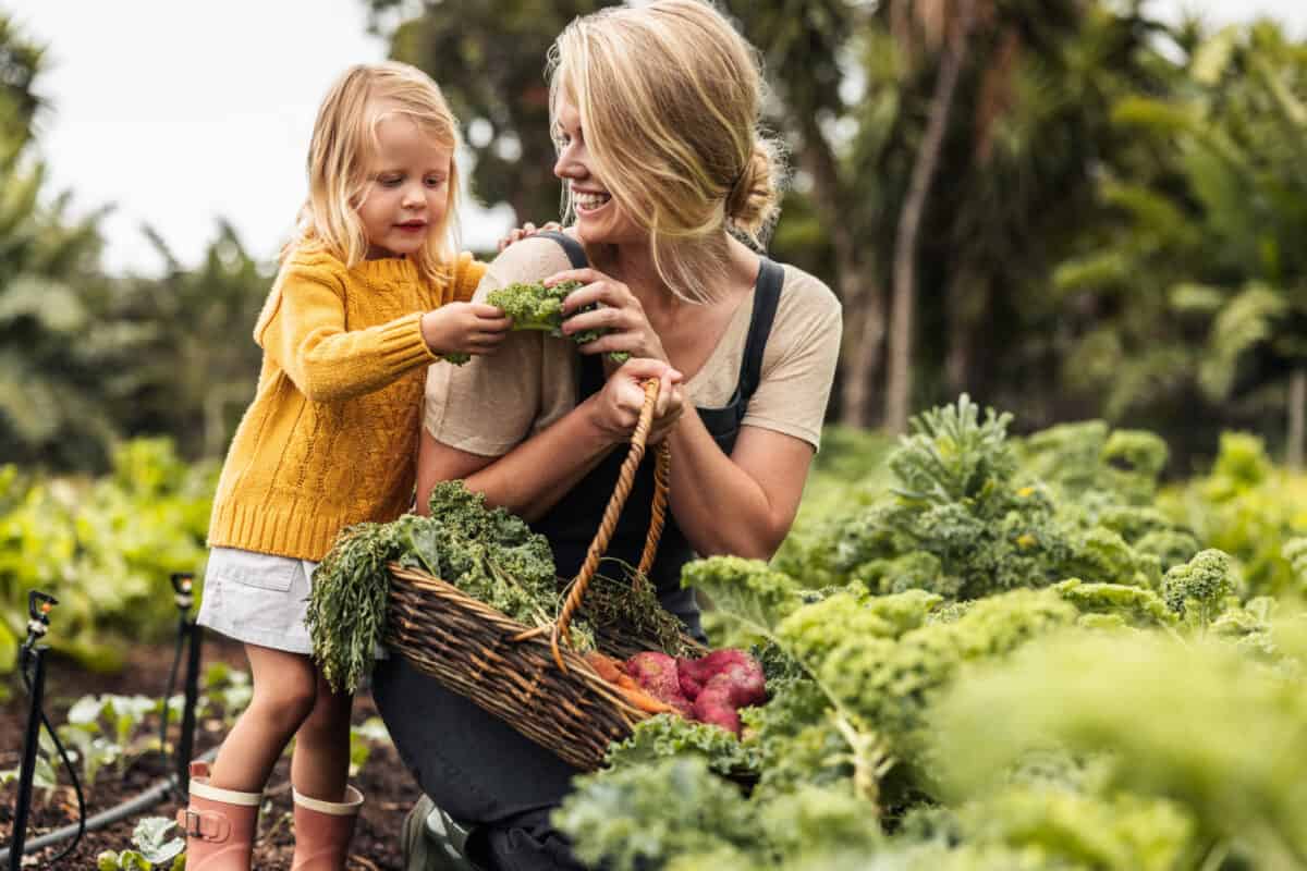 Happy mother picking fresh, seasonal vegetables with her daughter. Cheerful young mother smiling while showing her daughter fresh kale in an organic garden. Self-sufficient family gather fresh produce.
