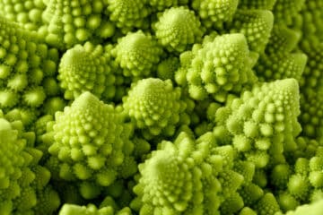 Romanesco broccoli (Brassica oleracea), close-up shot.